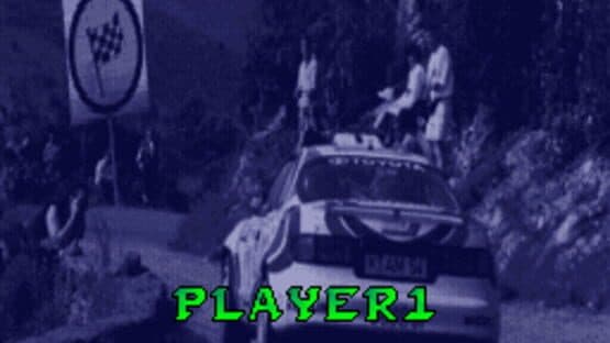 Rally: The Final Round of the World Rally Championship screenshot 2