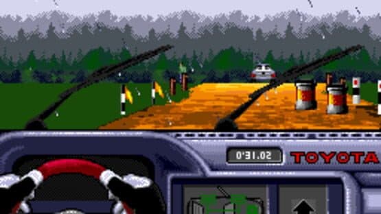 Rally: The Final Round of the World Rally Championship screenshot 6