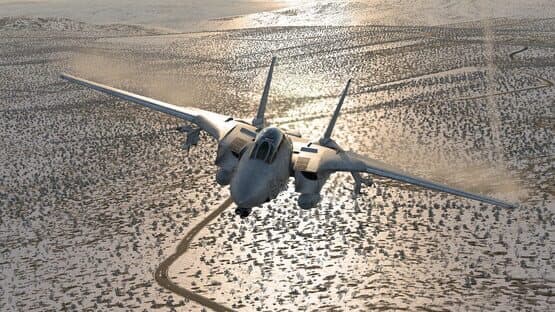 X-Plane 12 screenshot 4