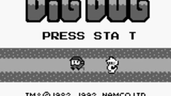 Dig Dug screenshot 1