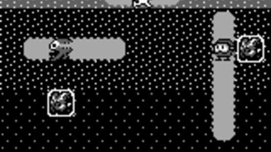 Dig Dug screenshot 2