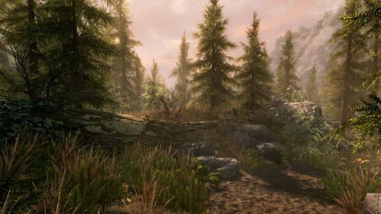 The Elder Scrolls V: Skyrim - Anniversary Edition screenshot 17