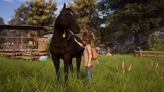 Windstorm: An Unexpected Arrival screenshot 5