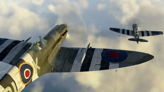 IL-2 Sturmovik: Battle of Stalingrad - Spitfire Mk.XIV Collector Plane screenshot 9