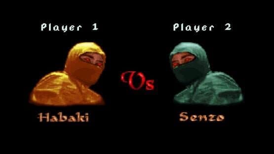 Kasumi Ninja screenshot 4