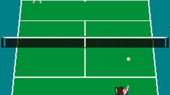 Family Tennis screenshot 3