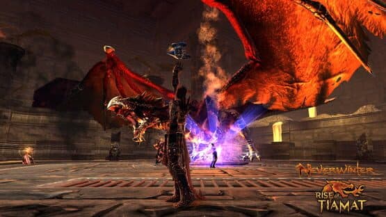 Neverwinter: Rise of Tiamat screenshot 2