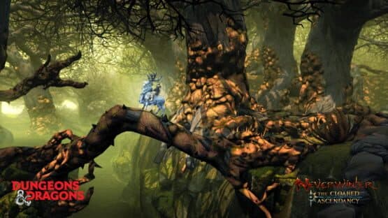 Neverwinter: The Cloaked Ascendancy screenshot 2