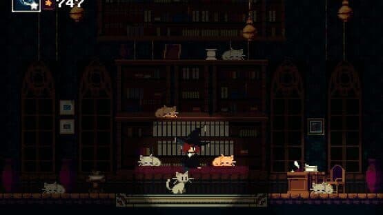 Momodora: Reverie Under the Moonlight screenshot 9