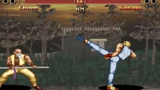 The Great Fighter screenshot 3
