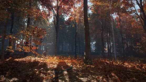 TheHunter: Call of the Wild - New England Mountains screenshot 1