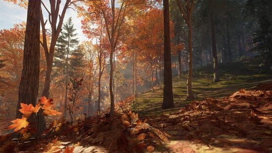 TheHunter: Call of the Wild - New England Mountains screenshot 9