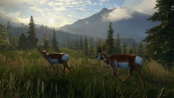 TheHunter: Call of the Wild - Seasoned Hunter Bundle screenshot 1