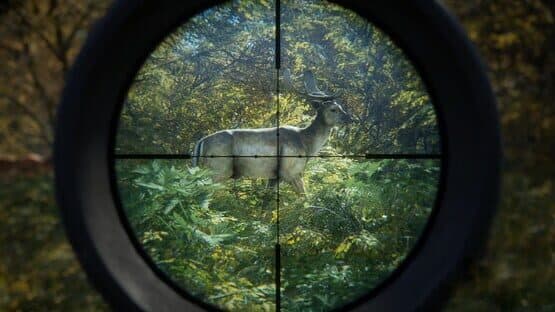 TheHunter: Call of the Wild - Master Hunter Bundle screenshot 9