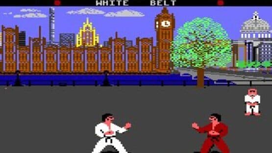World Karate Championship screenshot 3