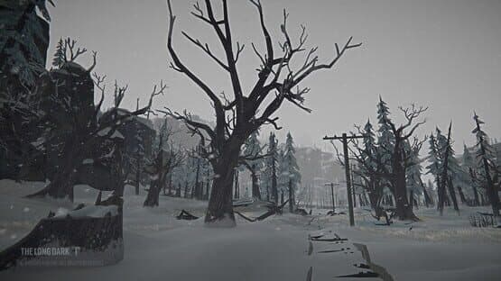 The Long Dark: Tales from the Far Territory screenshot 3