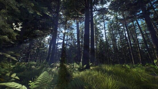 Way of the Hunter: Aurora Shores screenshot 2