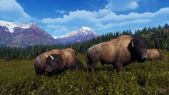 Way of the Hunter: Aurora Shores screenshot 12