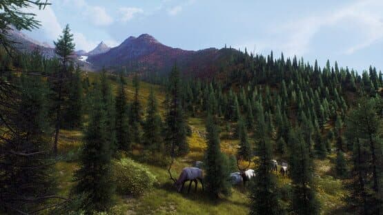 Way of the Hunter: Aurora Shores screenshot 13
