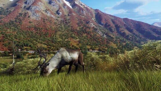 Way of the Hunter: Aurora Shores screenshot 19