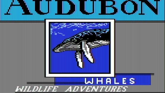 Audubon Whales: Wildlife Adventure screenshot 1