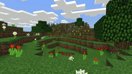 Minecraft: Java Edition screenshot 10