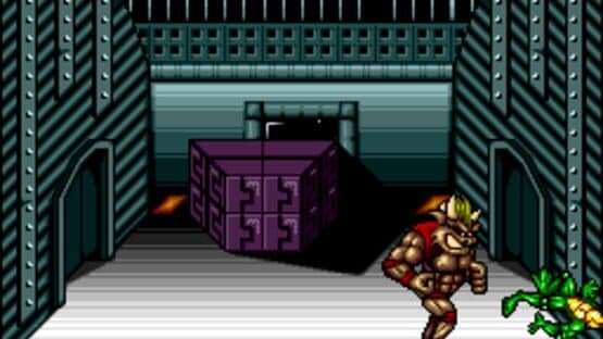 Battletoads / Double Dragon screenshot 2