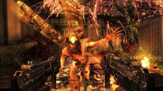 The Shadow Warrior Trilogy screenshot 4