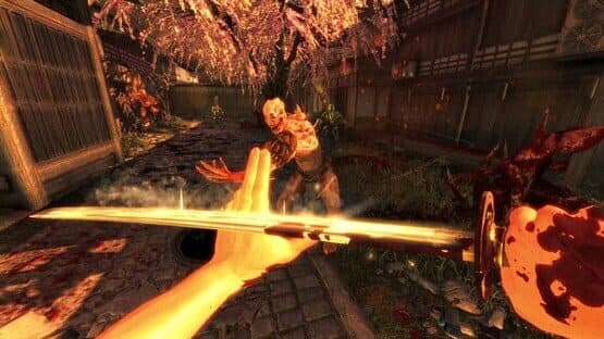 The Shadow Warrior Trilogy screenshot 5