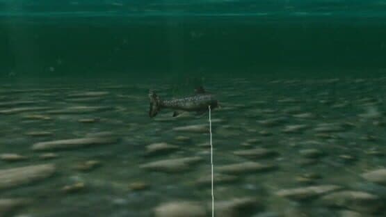Reel Fishing: Wild screenshot 3