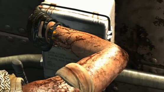 Tomb Raider: Shanty Town screenshot 2