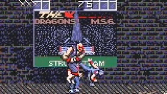 Ninja Gaiden screenshot 2