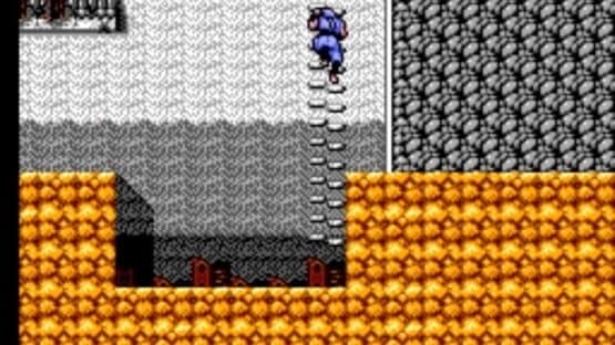 Ninja Gaiden screenshot 3