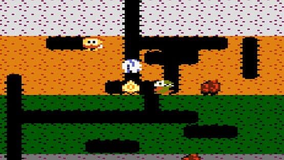 Dig Dug screenshot 3