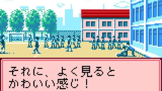 Pocket Love: If screenshot 5