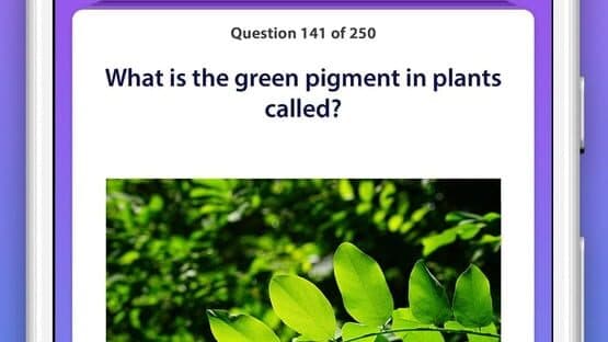 General Knowledge Quiz screenshot 2