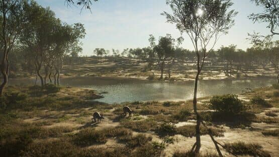theHunter: Call of the Wild - Emerald Coast Australia screenshot 3