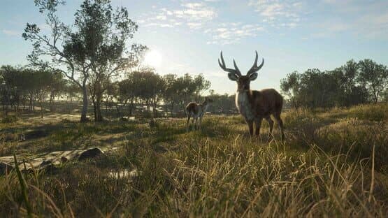 theHunter: Call of the Wild - Emerald Coast Australia screenshot 11