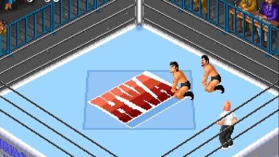 Super Fire Pro Wrestling 2 screenshot 2
