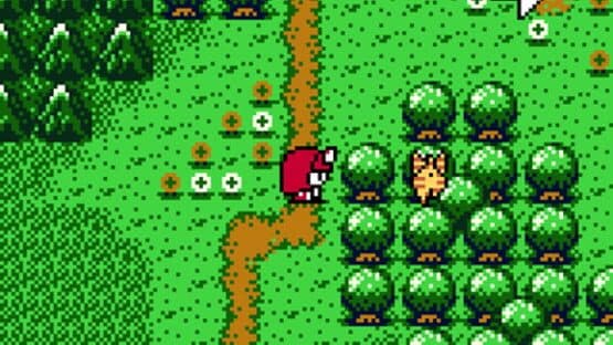 Kawaii Pet Shop Monogatari screenshot 3