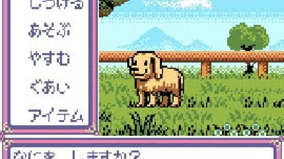 Kawaii Pet Shop Monogatari 2 screenshot 3