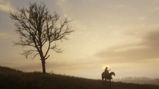 Red Dead Redemption & Red Dead Redemption 2 Bundle screenshot 8