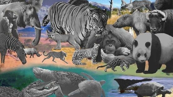 Discovering Endangered Wildlife screenshot 5