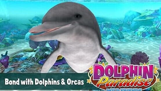 Dolphin Paradise: Wild Friends screenshot 2