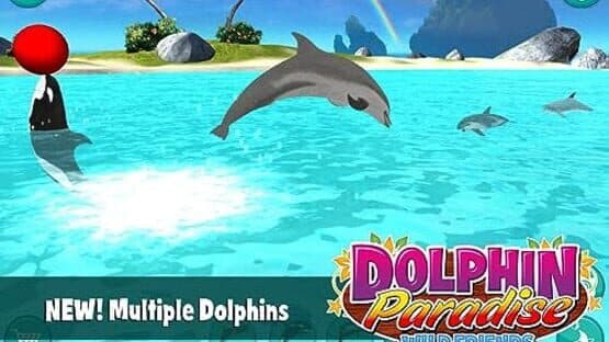 Dolphin Paradise: Wild Friends screenshot 3