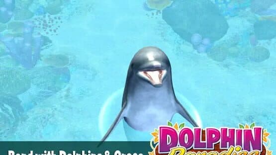 Dolphin Paradise: Wild Friends screenshot 4
