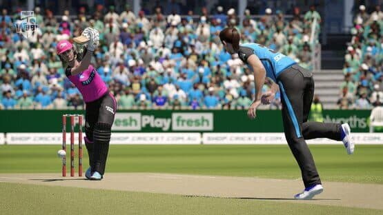 Cricket 24 screenshot 9