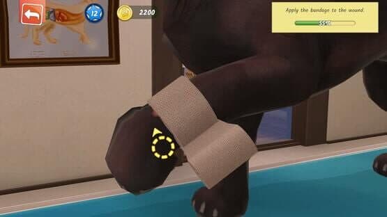 Animal Hospital screenshot 2