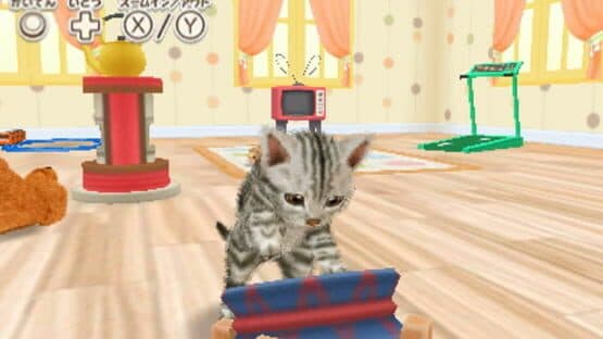 Kawaii Pet to Kurasou! Wan Nyan & Idol Animal screenshot 1