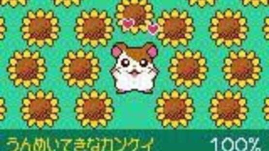 Tottoko Hamtaro: Tomodachi Daisakusen Dechu screenshot 3